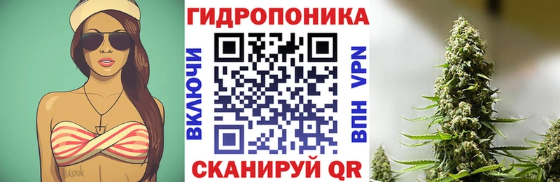 Названия наркотиков Екатеринбург Канабис  блэк спрут онион  Псилоцибиновые грибы  Гашиш  Меф мяу мяу  COCAIN  АМФ  Alpha-PVP 