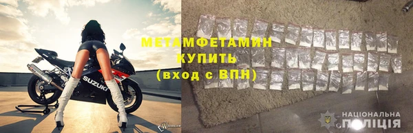 хмурый Пересвет