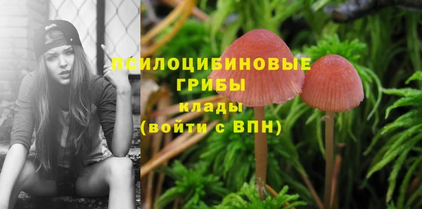 наркотики Кинешма