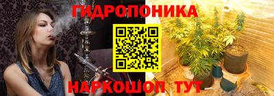 шишки Краснокаменск