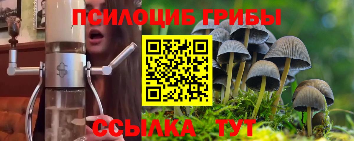 Псилоцибиновые грибы MAGIC MUSHROOMS Екатеринбург
